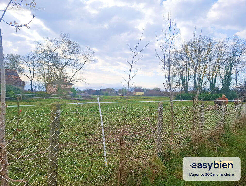 Terrain à HAGETAUBIN