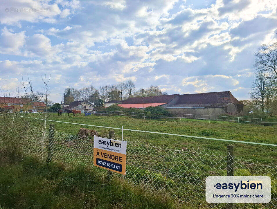 Terrain à HAGETAUBIN