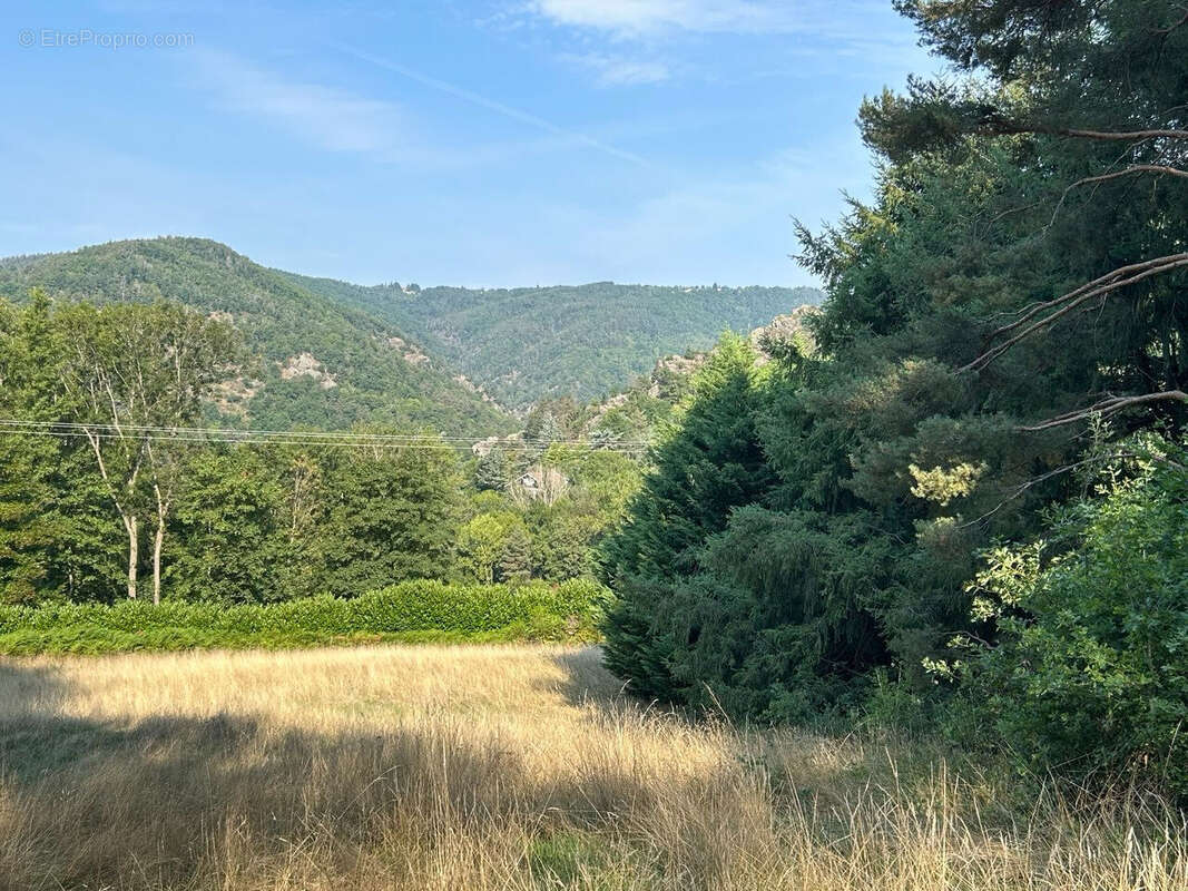 Photo 4 - Terrain à SAINT-PAUL-EN-CORNILLON