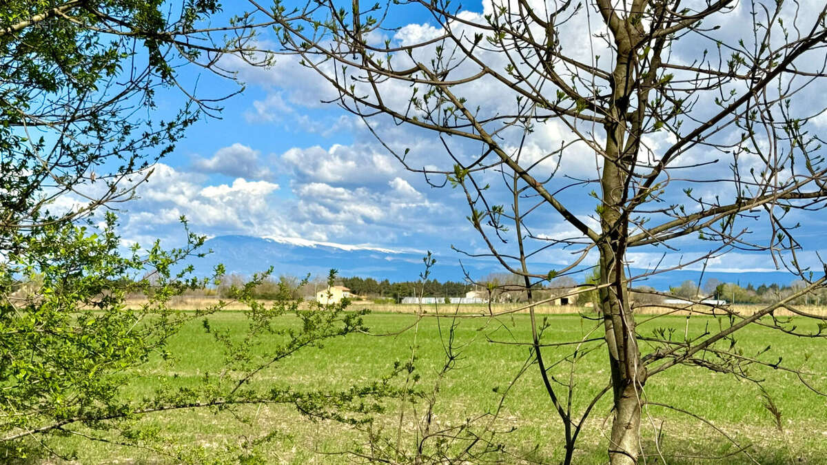 Maison à ENTRAIGUES-SUR-LA-SORGUE