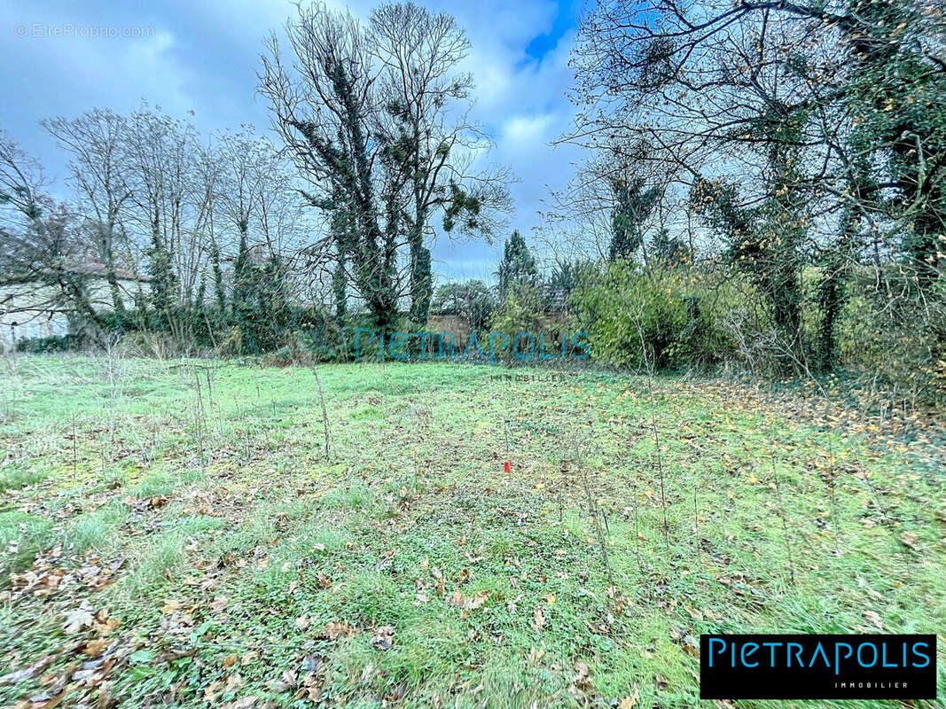 Terrain à SAINT-GEORGES-DE-RENEINS