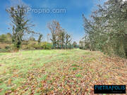 Terrain à SAINT-GEORGES-DE-RENEINS