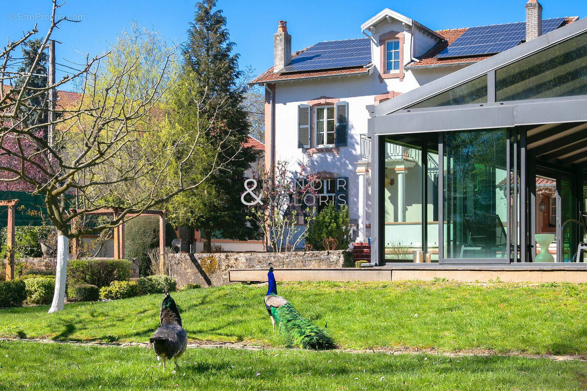 Maison à DOMEVRE-SUR-VEZOUZE