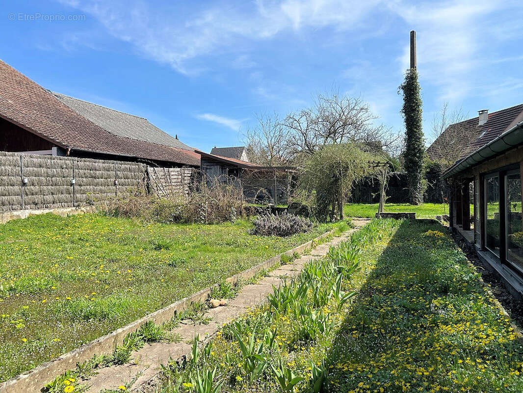 Maison à WERENTZHOUSE