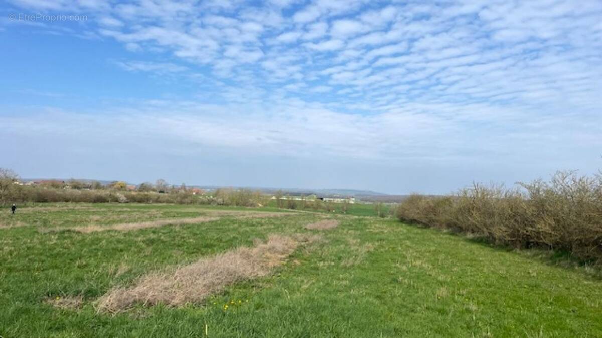 Terrain à HARAUCOURT