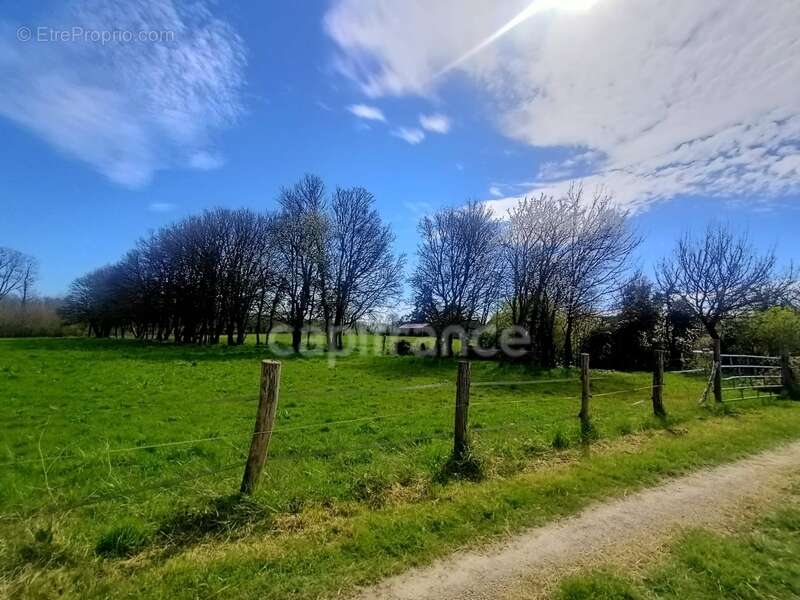 Maison à LES BORDES