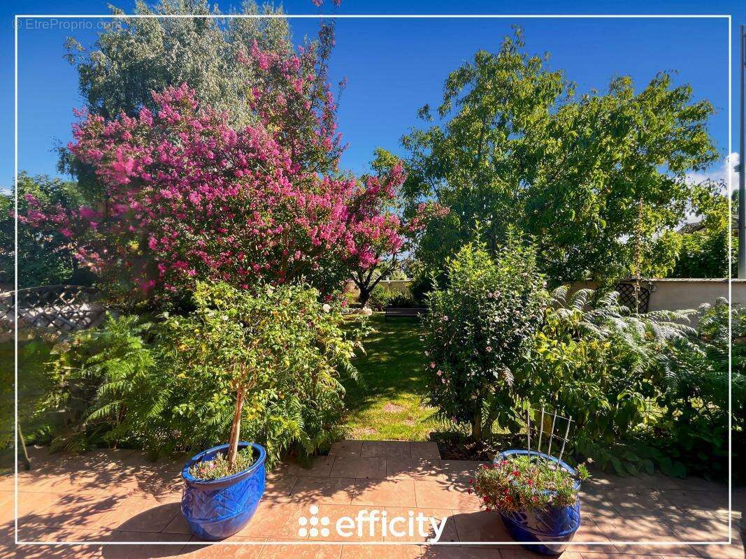 Maison à BRIE-COMTE-ROBERT