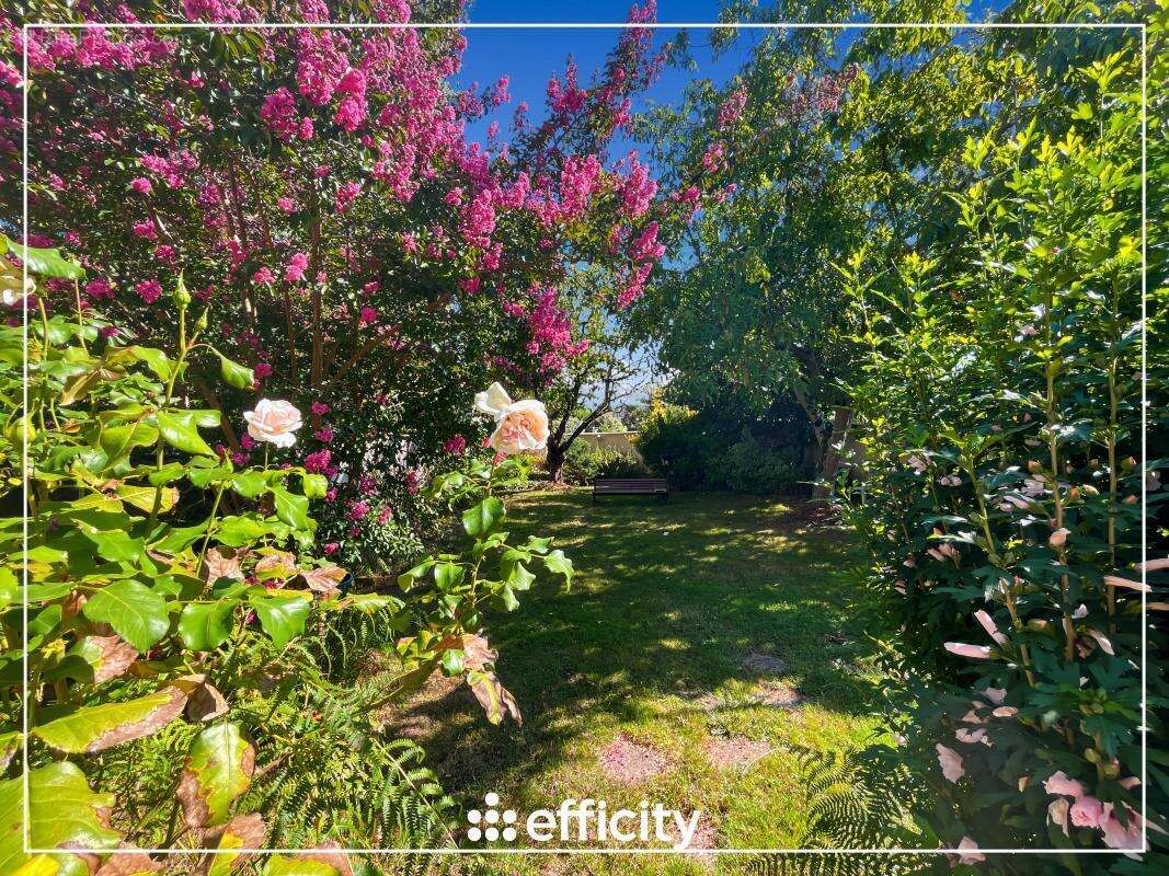 Maison à BRIE-COMTE-ROBERT