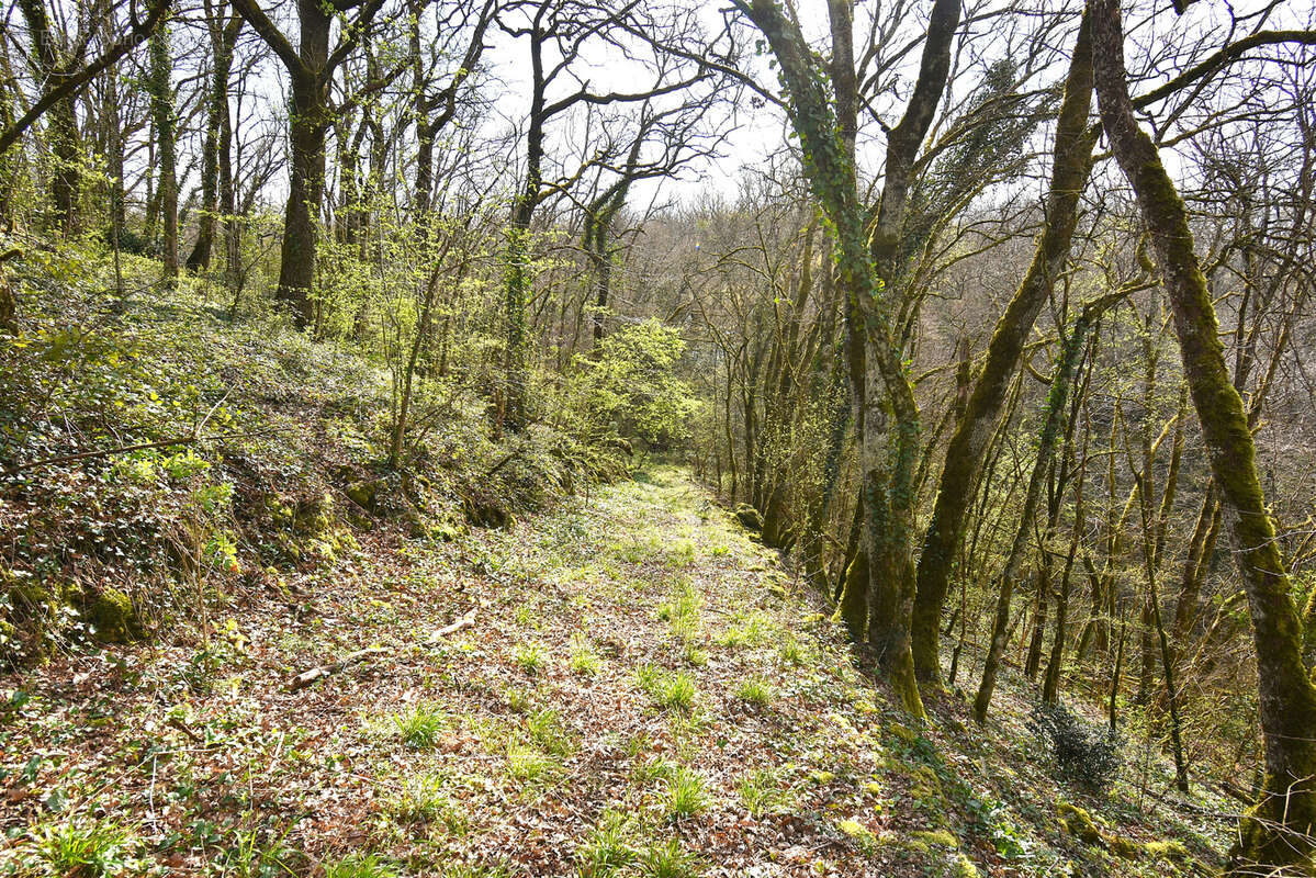 Maison à TOURNON-D&#039;AGENAIS