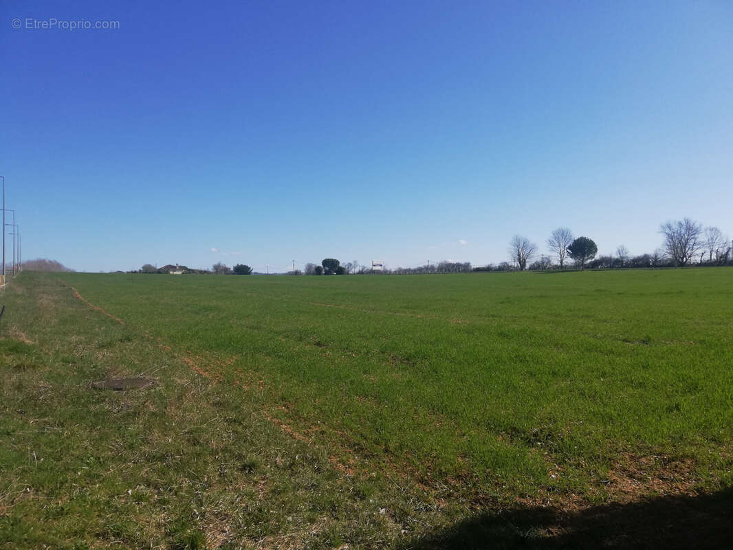 Terrain à PAMPELONNE