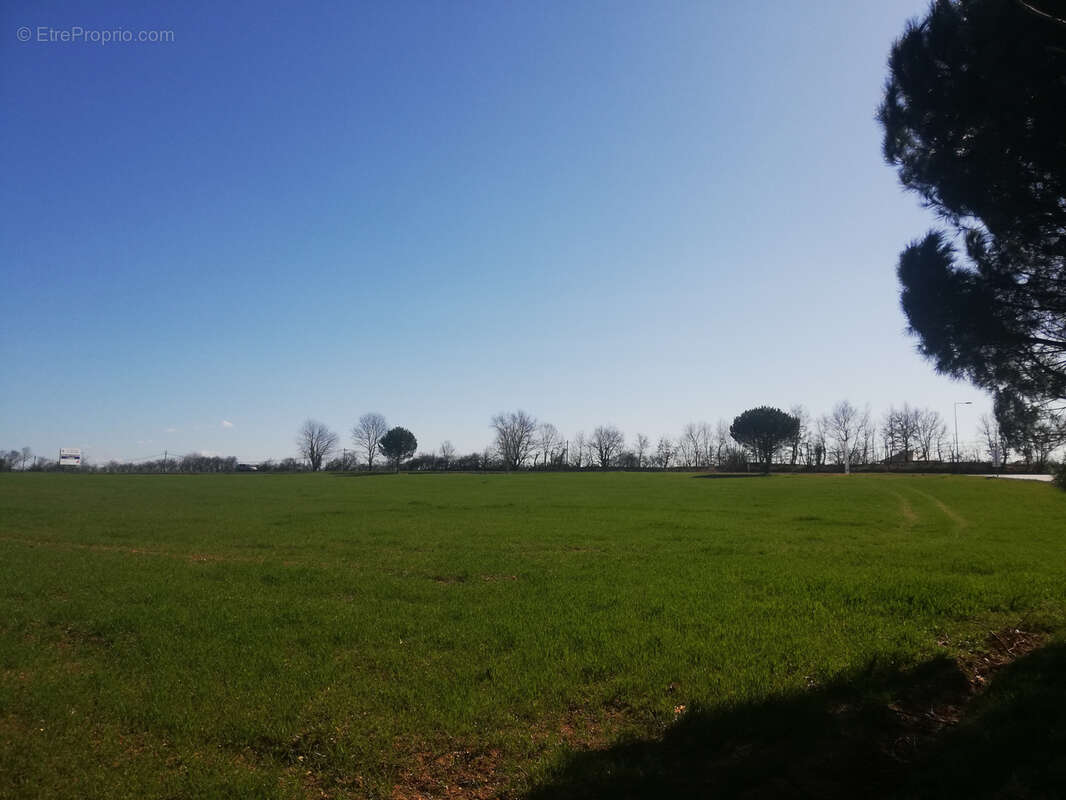 Terrain à PAMPELONNE