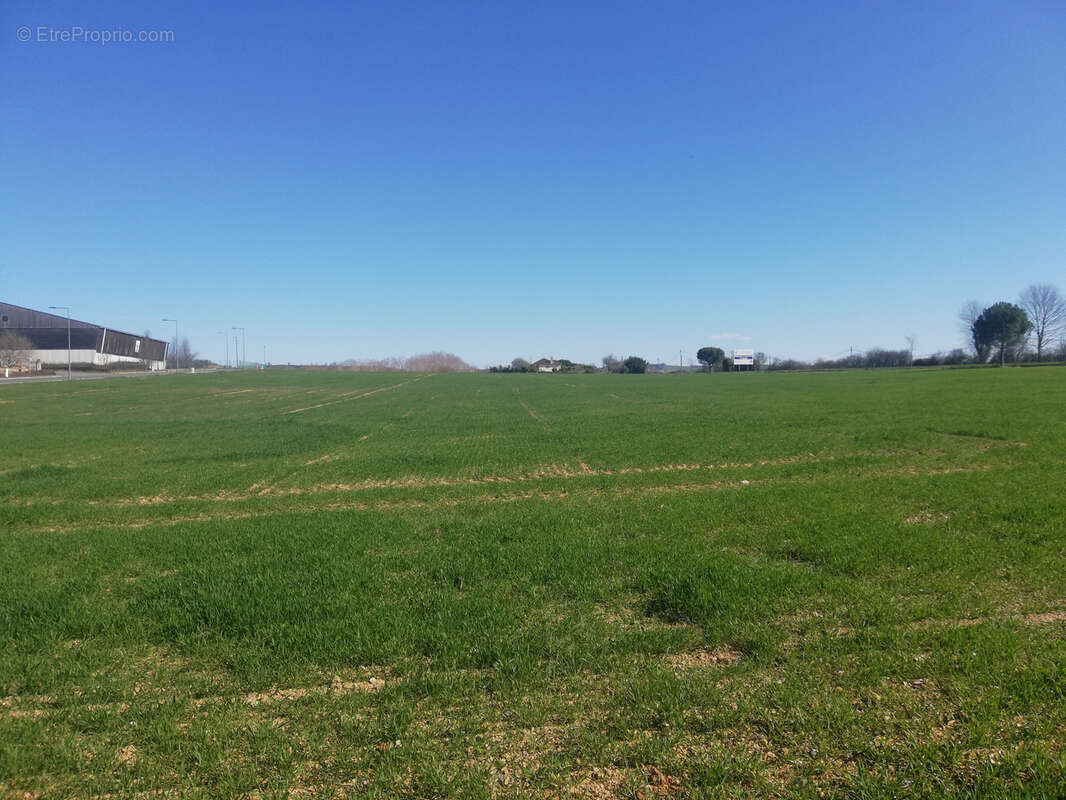 Terrain à PAMPELONNE