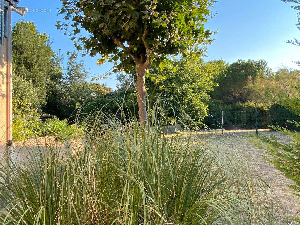 Appartement à COGOLIN