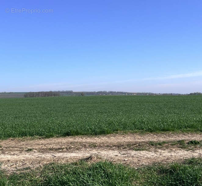 Appartement à TRUCHTERSHEIM