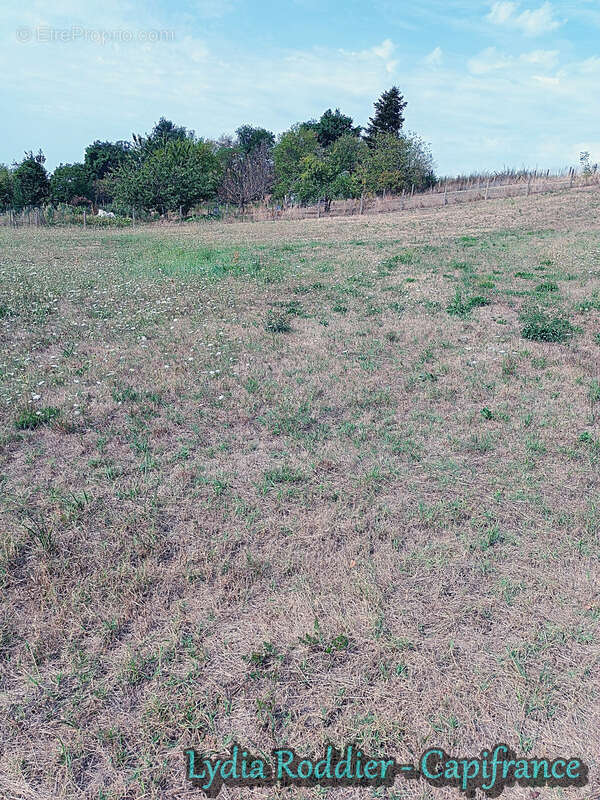 Terrain à LIMONS