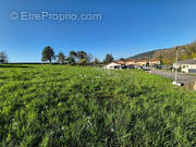 Terrain à MEILLONNAS