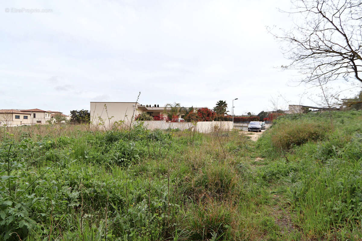 Terrain à NARBONNE