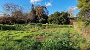 Terrain à MAUGUIO