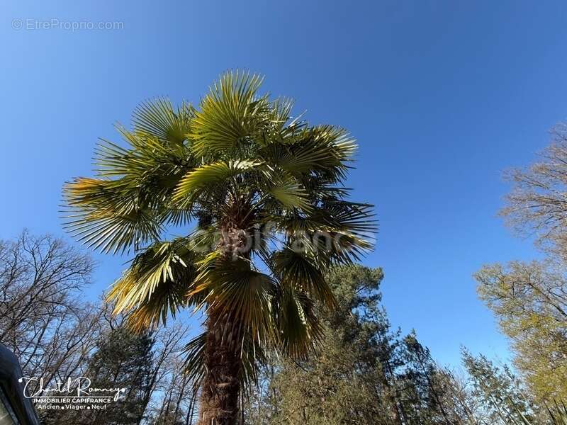 Maison à ROMORANTIN-LANTHENAY