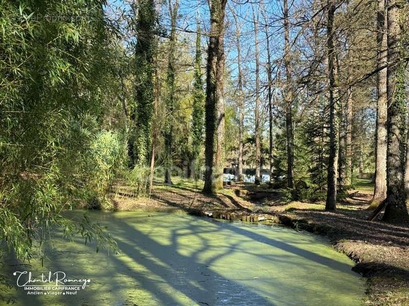 Maison à ROMORANTIN-LANTHENAY