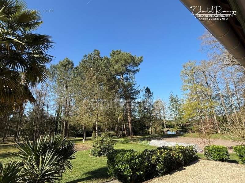 Maison à ROMORANTIN-LANTHENAY