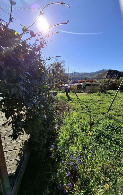 Maison à MAULEON-LICHARRE