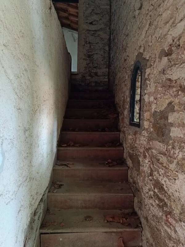 Maison à BORMES-LES-MIMOSAS