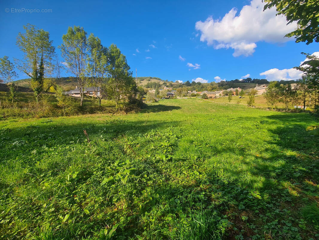 Terrain à SEBRAZAC
