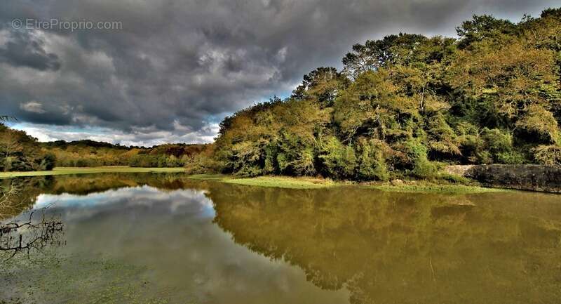 Maison à SAINT-MARTIN-DE-SEIGNANX