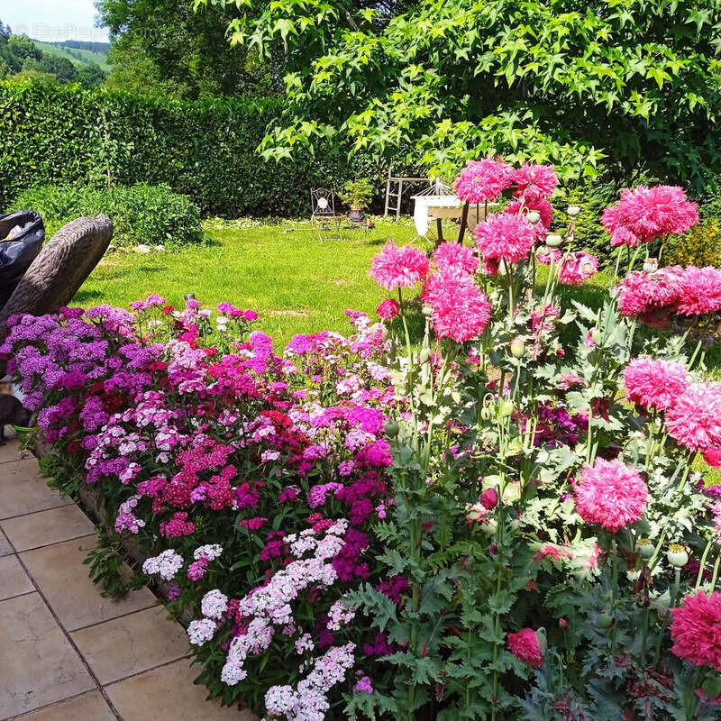 Maison à LA SALVETAT-SUR-AGOUT