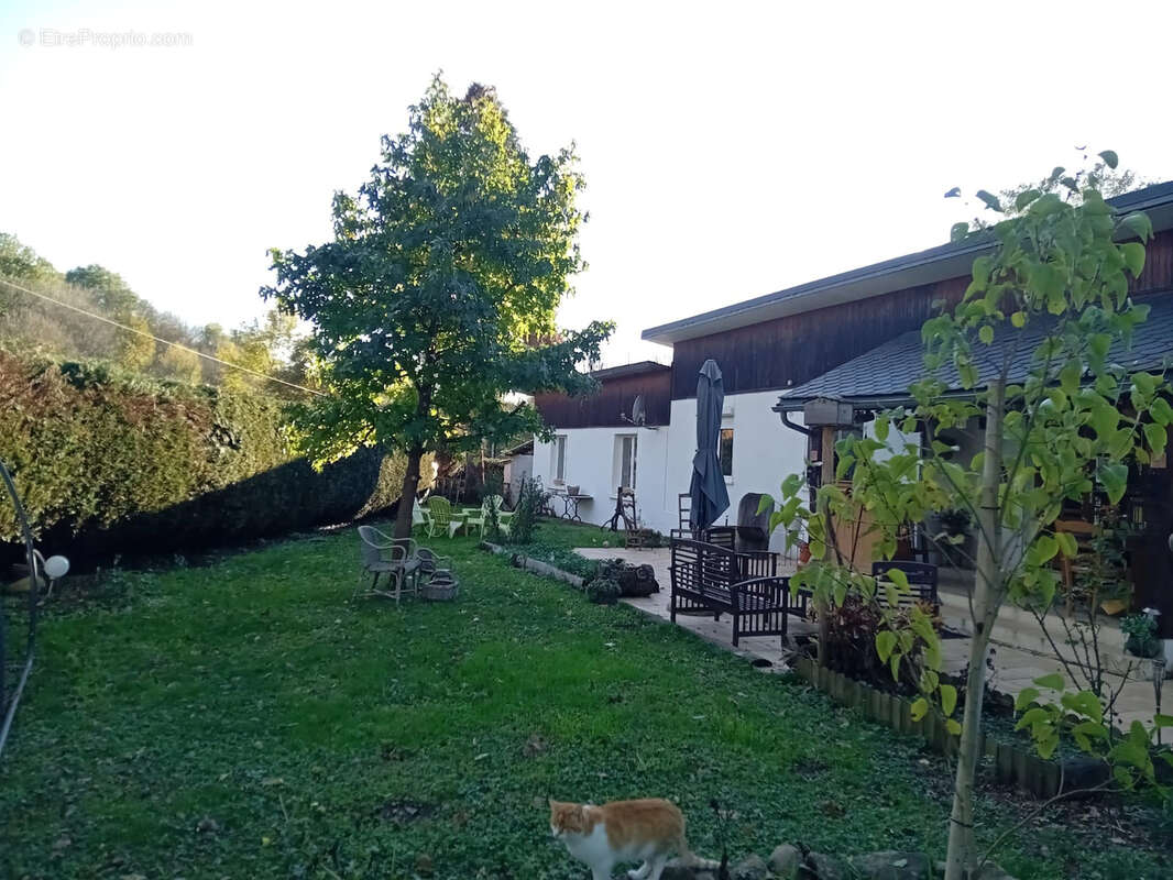 Maison à LA SALVETAT-SUR-AGOUT