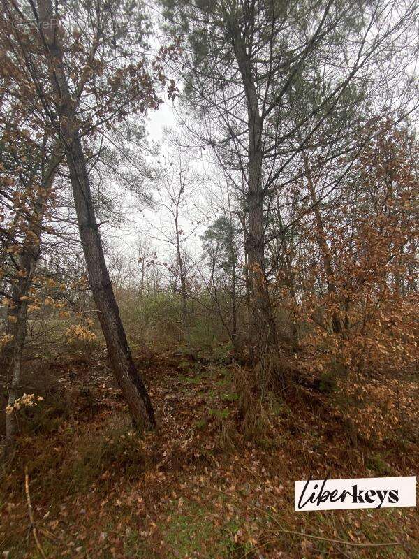 Terrain à NOTRE-DAME-DE-SANILHAC