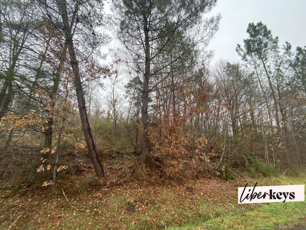 Terrain à NOTRE-DAME-DE-SANILHAC