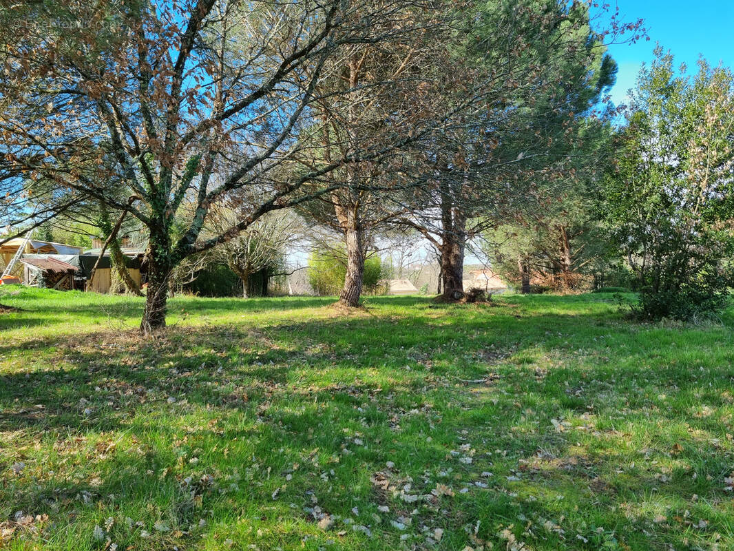 Terrain à LAYRAC