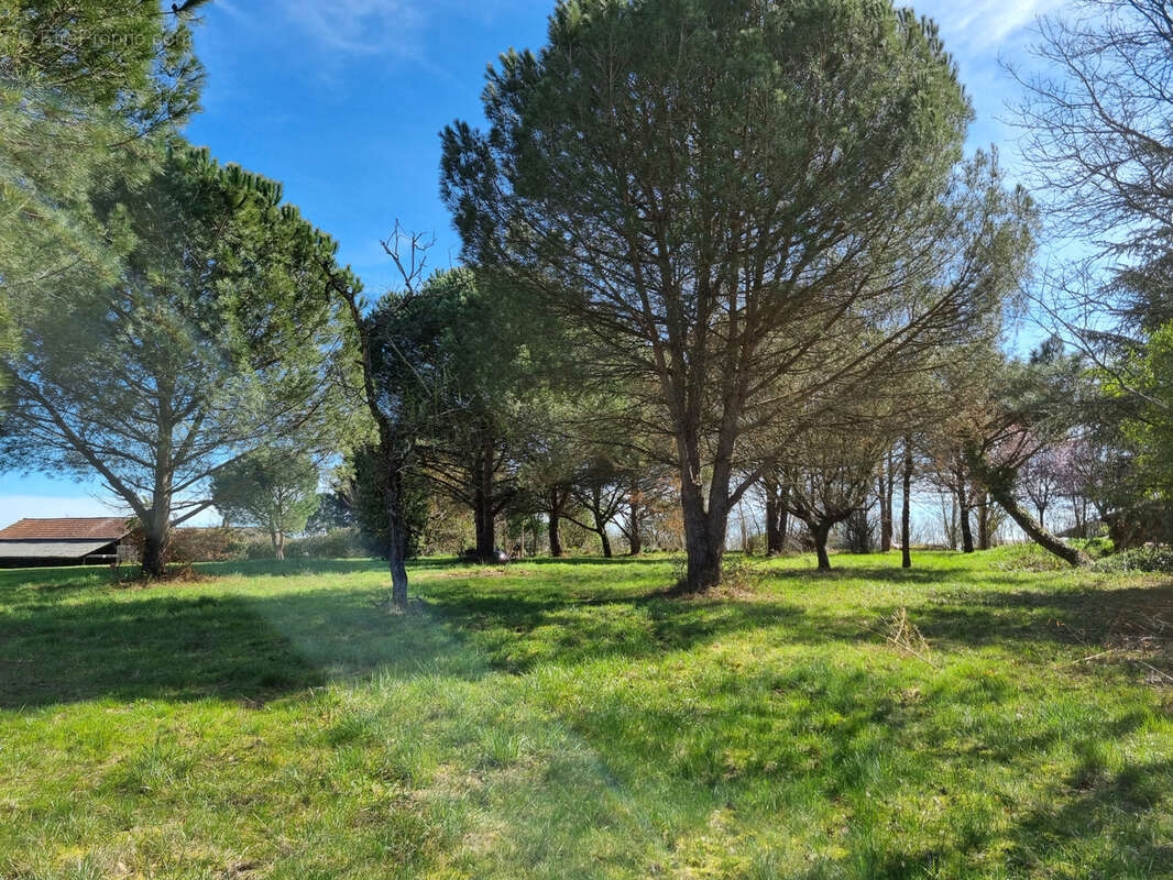 Terrain à LAYRAC