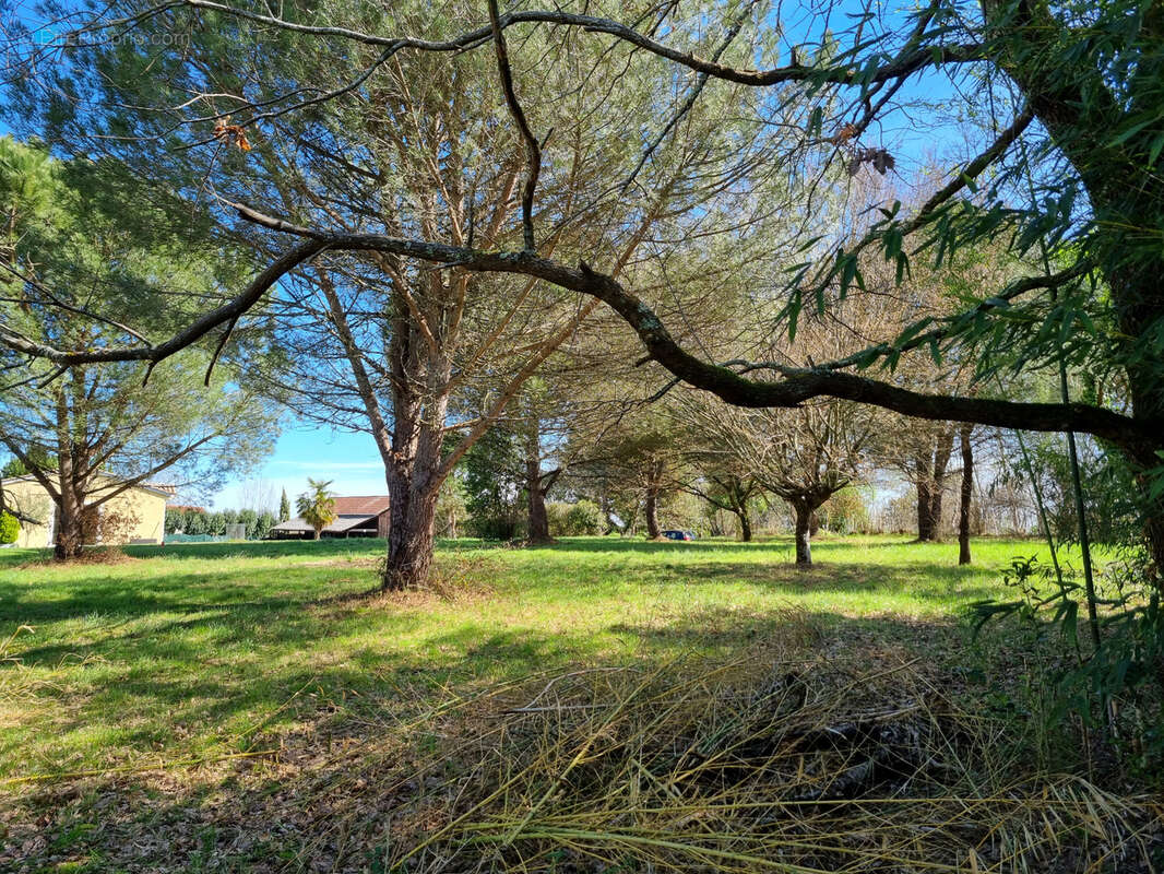 Terrain à LAYRAC