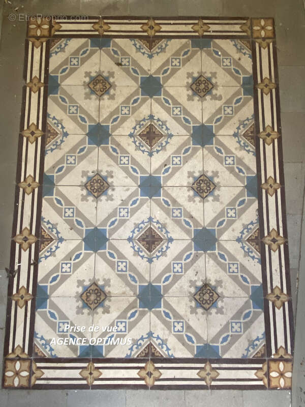 Maison à VILLENEUVE-LA-GUYARD