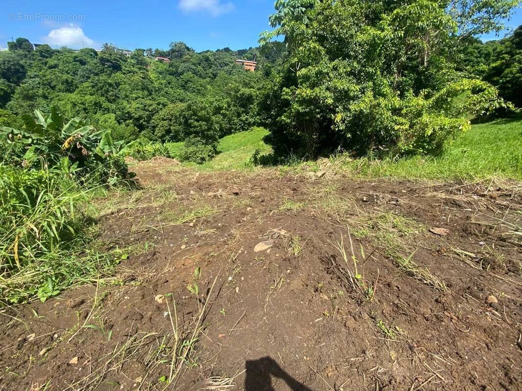 Terrain à LE VAUCLIN