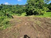 Terrain à LE VAUCLIN