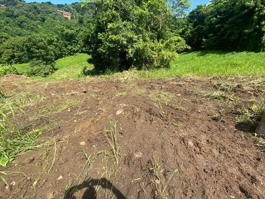 Terrain à LE VAUCLIN