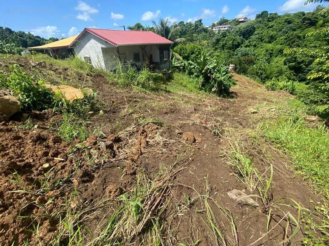 Terrain à LE VAUCLIN