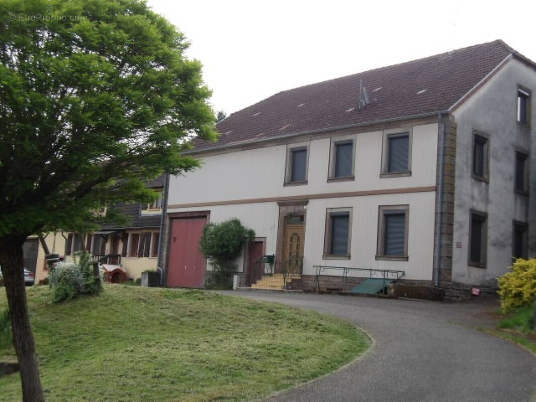 Maison à DIEMERINGEN