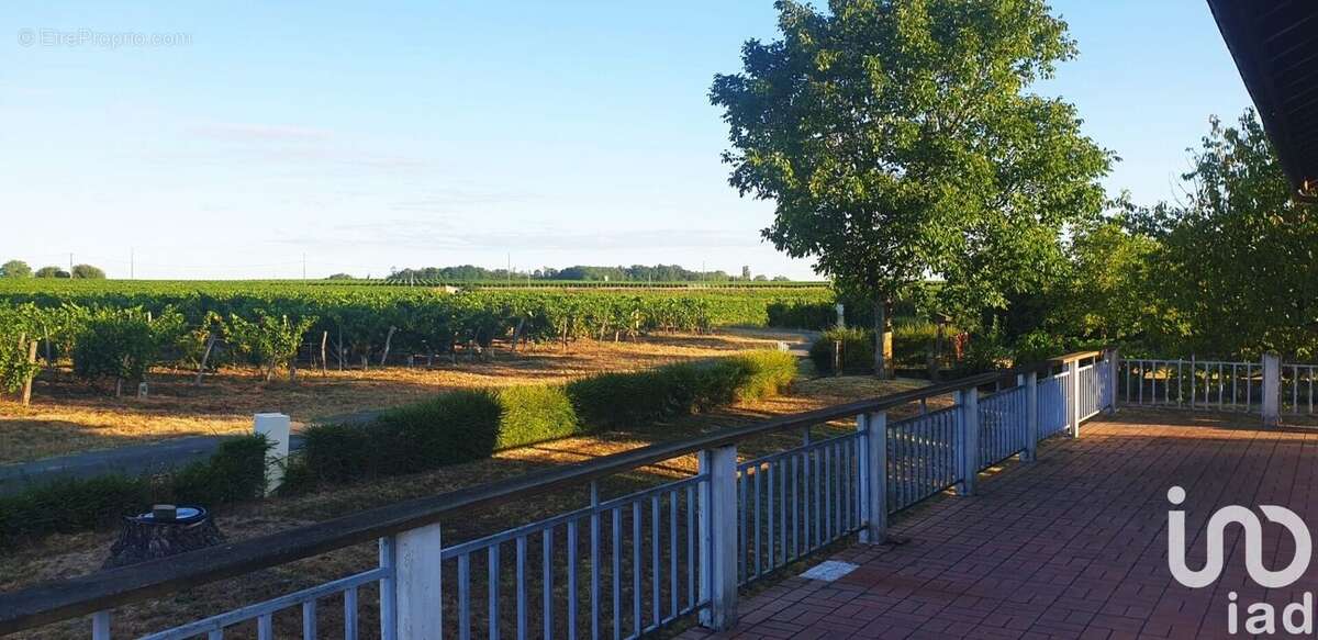 Photo 5 - Maison à PUISSEGUIN