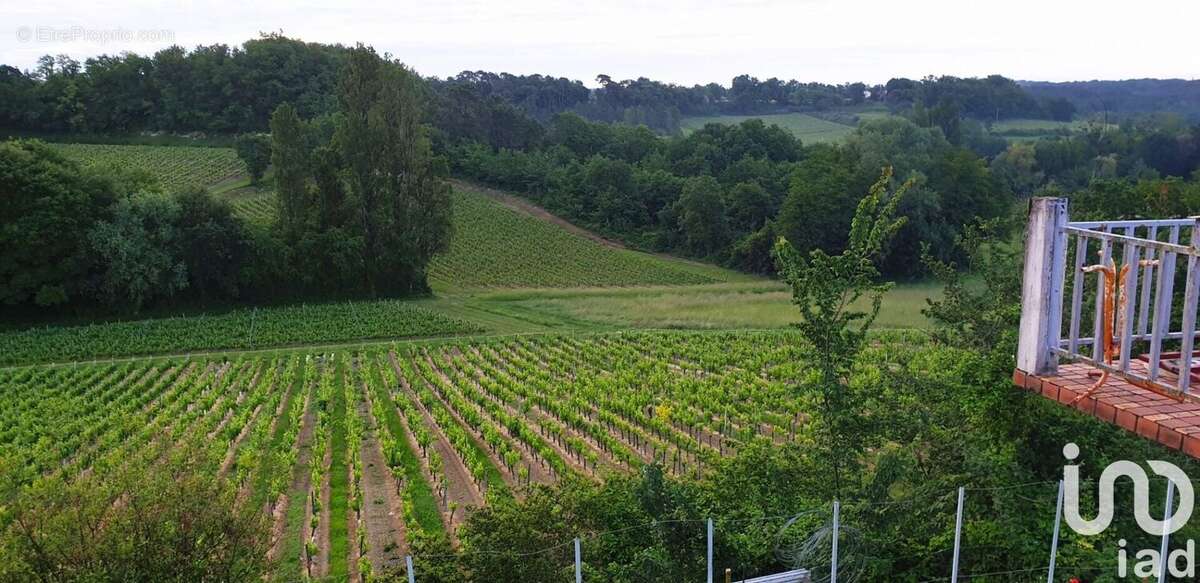 Photo 7 - Maison à PUISSEGUIN