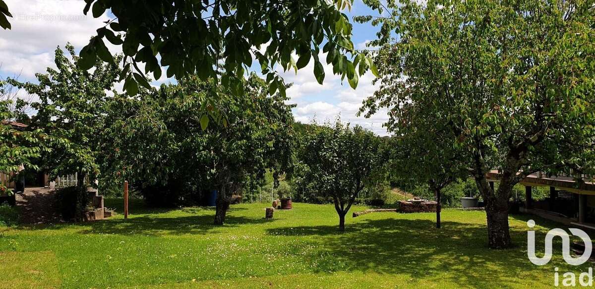 Photo 8 - Maison à PUISSEGUIN