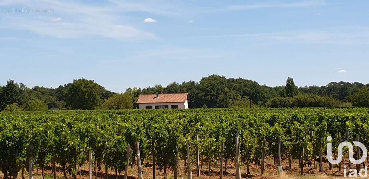 Photo 9 - Maison à PUISSEGUIN