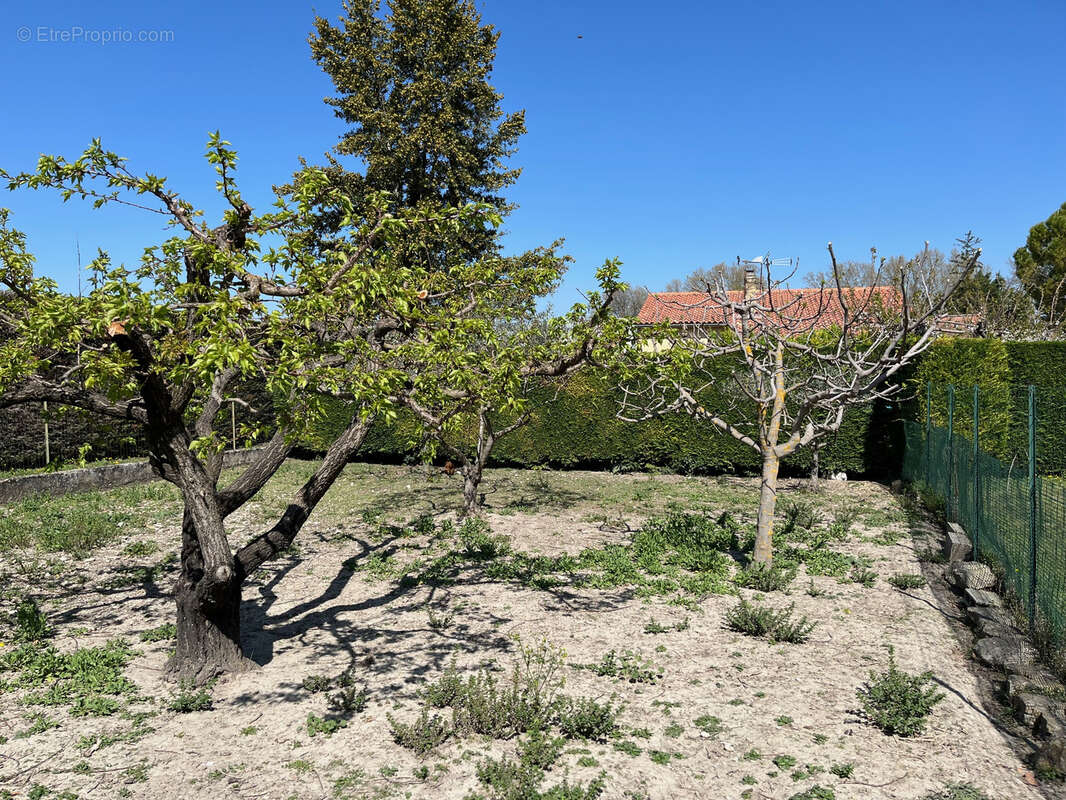 Terrain à PERNES-LES-FONTAINES