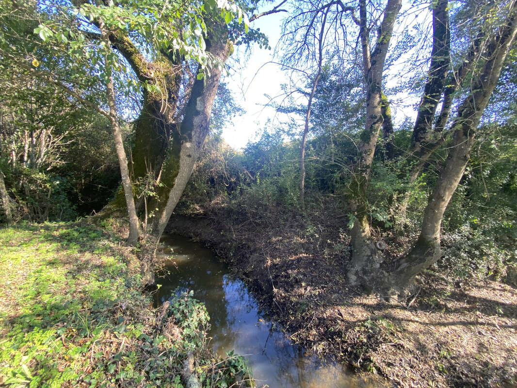 Maison à PETIT-PALAIS-ET-CORNEMPS