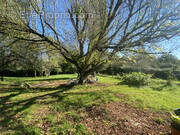 Maison à PETIT-PALAIS-ET-CORNEMPS