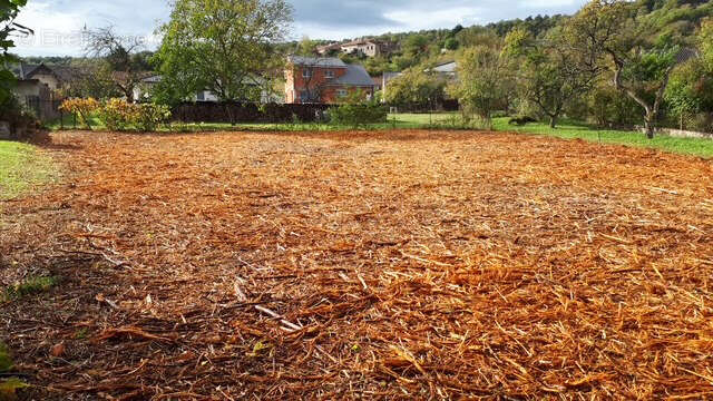 Terrain à DOMGERMAIN